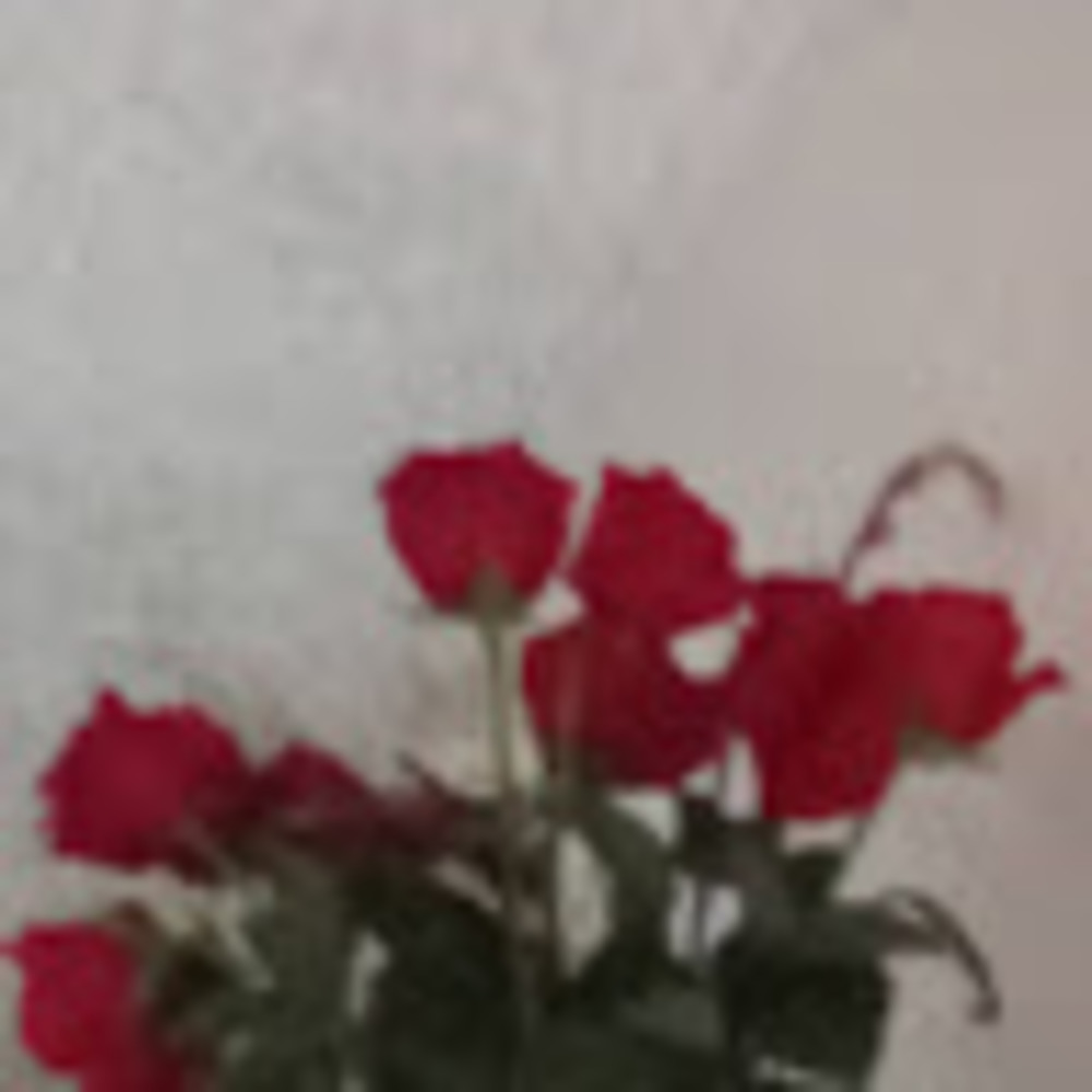 Meet your Posher, Wilie